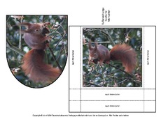 Eichhörnchen-Merkzettel-3.pdf